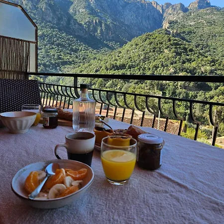 T2 Vue & Montagne Porto (Corsica)